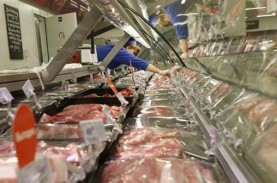 Bulog Belitung Datangkan 10.000 Ton Daging Kerbau…