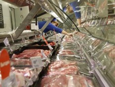 Bulog Belitung Datangkan 10.000 Ton Daging Kerbau Beku Impor