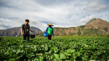 BRI Microfinance Outlook 2021: Hasil Riset BMSI Kuartal I 2021, Pelaku UMKM Semakin Optimis