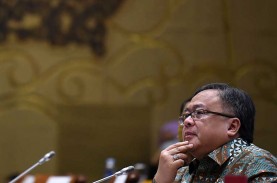 Mundur dari Menristek, Apa Kegiatan Bambang Brodjonegoro…
