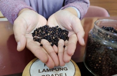 Nilai Ekspor Pertanian Lampung Kuartal I Rp4 Triliun