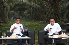 PTPN V Sukses Bangun Kebun dengan Produktivitas Sawit…