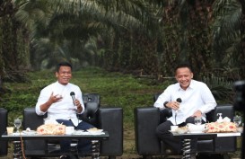 PTPN V Sukses Bangun Kebun dengan Produktivitas Sawit Muda Tertinggi di Indonesia
