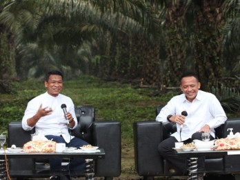 PTPN V Sukses Bangun Kebun dengan Produktivitas Sawit Muda Tertinggi di Indonesia