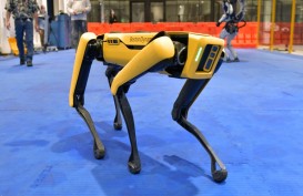 Diprotes, Kepolisian New York Setop Pakai Robot Anjing