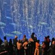 Tengok 9 Akuarium Terkeren di Dunia