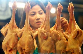 April, Daging Ayam Ras Picu Inflasi Jatim 0,10 Persen