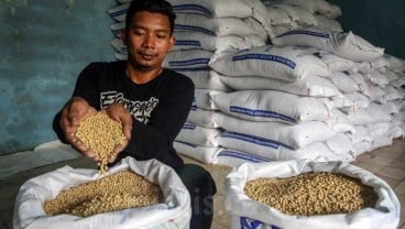 Risiko Kenaikan Harga Kedelai Tak Terhindari, Ini Usulan Solusinya