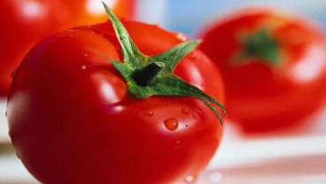 5 Makanan Super untuk Kontrol Gula Darah dan Cegah Diabetes