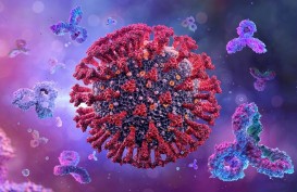 Waspada, 3 Varian Virus Corona Baru Ini Sudah Masuk Indonesia 