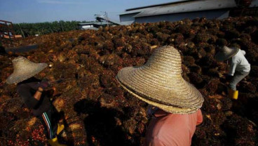 KINERJA EKSPOR SUMATRA UTARA  : Kelapa Sawit Punya Andil Besar
