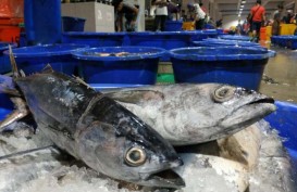 Ngabuburit di Pasar Ikan Modern? Ini Kisaran Harganya