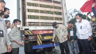 Ikut Dorong Ekspor, BNI Kucurkan KUR bagi UKM Tanaman Hias