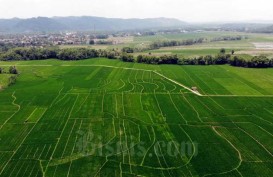 Agritech Jadi Akselerator Pertanian 4.0