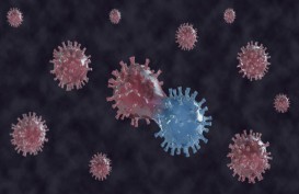 Kasus Positif Covid-19 Virus Corona Varian India Ditemukan di Kalteng