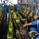 Jelang Lebaran, Pertamina Tambah Pasokan LPG 3 Persen