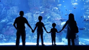 Jakarta Aquarium & Safari Tetap Buka di Libur Lebaran