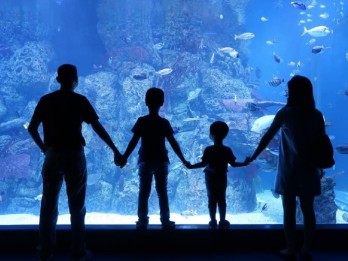 Jakarta Aquarium & Safari Tetap Buka di Libur Lebaran