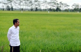 Panitia Antar Kementerian Holding Pangan Dibentuk, Ini Anggotanya