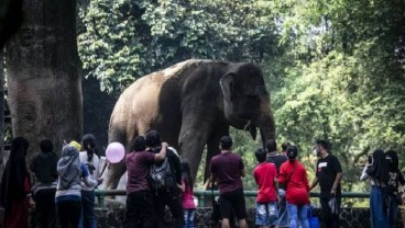 Libur Lebaran, 2.460 Pengunjung Datangi Taman Margasatwa Ragunan