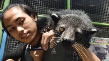 Objek Wisata di Madiun Tutup, Jurus Bagi-Bagi Tiket Gratis Gagal Total