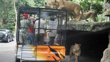 Gembira Loka Zoo Tambah Koleksi Hewan Tarik Minat Berkunjung