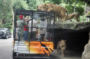 Gembira Loka Zoo Tambah Koleksi Hewan Tarik Minat Berkunjung