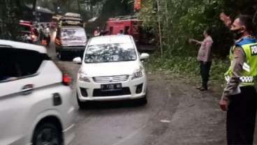 Jalur Menuju Selatan Cianjur Tertutup Longsor dan Pohon Bambu Tumbang