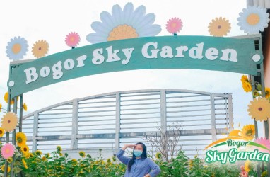 Mal BTM Hadirkan Kebun Bunga Matahari Lewat Bogor Sky Garden