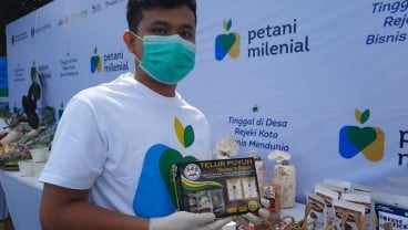 Program Magang Ternak Puyuh Bagi Petani Milenial Sudah Dimulai