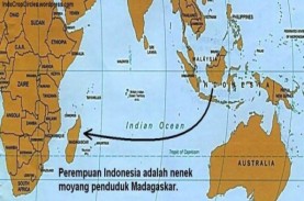 Genjot Ekspor ke Madagaskar, Alat Pertanian Jadi Andalan…