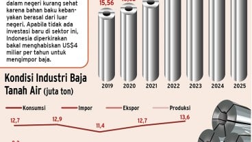 Historia Bisnis: Dilema Penyelamatan Bisnis Perusahaan BUMN 