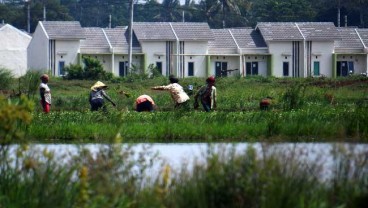 Pemulihan Bisnis Properti Dipimpin Subsektor Perumahan Tapak