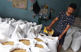 Disperdagin Kabupaten Cirebon: Produsen Masih Andalkan Kedelai Impor
