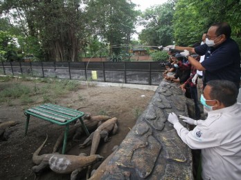 Kebun Binatang Surabaya Kembali Bergeliat