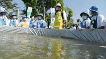 Hindari Kegagalan, Proses Program Petani Milenial Dilakukan Bertahap