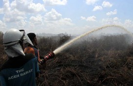 BMKG Keluarkan Peringatan Dini Potensi Hujan dan Kebakaran Lahan