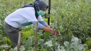 Pesan Ketua HKTI untuk Peserta Petani Milenial: Terus Berjuang!