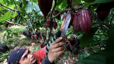 Nilai Tukar Petani Menguat, Ini Komoditas Penyumbangnya 