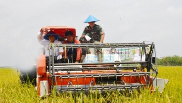 OKI Siapkan 59.118 Hektare Lahan Sawah untuk Food Estate