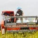 OKI Siapkan 59.118 Hektare Lahan Sawah untuk Food Estate