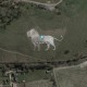Bukan Cuma Peta Lokasi Wilayah, Ini 8 Hal Aneh yang Terlihat Lewat Google Earth
