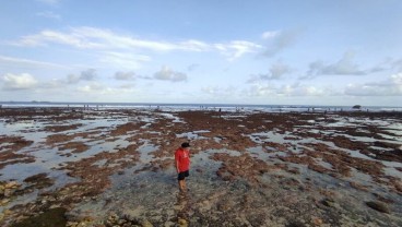 Wonogiri Tanggapi Soal Potensi Tsunami