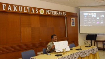 UGM Bakal Miliki Pusat Pelatihan Kandang Umbaran Ayam Petelur