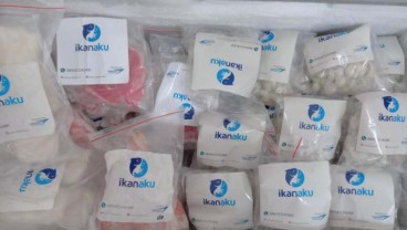 Perum Perindo Kembangkan Produk IKANAKU 