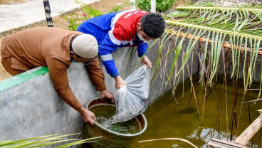 Pertamina Dumai Bantu 4.500 Bibit Ikan Gurami Bagi Nelayan Purnama