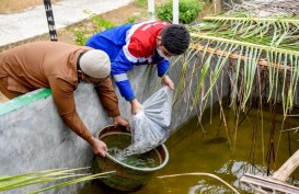 Pertamina Dumai Bantu 4.500 Bibit Ikan Gurami Bagi Nelayan Purnama