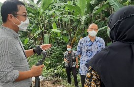 Tempat Sampah di Bogor Bakal Disulap Jadi Hutan Kota