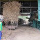 Kebun Tebu di Indonesia Terbatas, RNI Bakal Optimalisasi Aset lahan