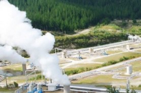 Ada Apa dengan Penyelesaian Perpres Energi Baru Terbarukan?